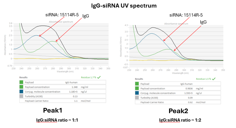 IgG–siRNA UV spectrum